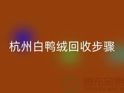 ### 纯白 70 绒、80 绒、90 鸭绒必一网页版步骤@杭州羽绒必一网页版厂家