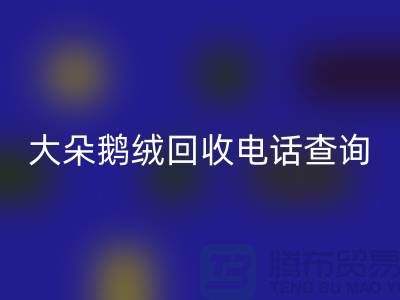 ### 日标羽绒必一网页版，大朵鹅绒必一网页版电话查询，南京鸭绒必一网页版公司