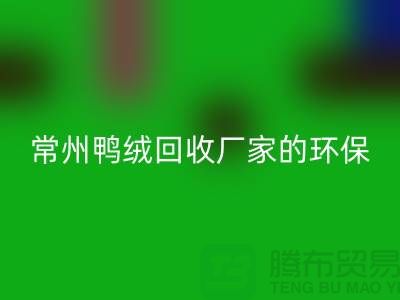 # 专业羽绒必一网页版：常州鸭绒必一网页版厂家的环保与价值之旅