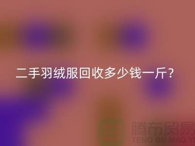 《二手羽绒服必一网页版多少钱一斤？》