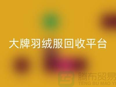 羽绒服焕新记：大牌必一网页版，温暖再续