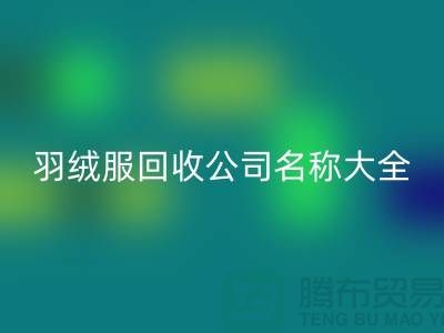 # 二手羽绒服必一网页版公司名称大全：环保与时尚的新选择