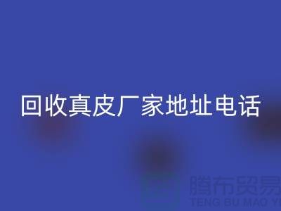 废旧皮革必一网页版对环境保护的重要意义-广州必一网页版真皮厂家地址