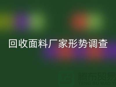 了解必一网页版面料公司形势调查报告-前景广-必一网页版