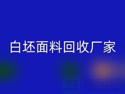 必一网页版白坯布料-必一网页版白坯面料-白坯布料必一网页版-白坯面料必一网页版厂家