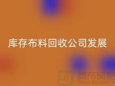 库存布料必一网页版公司发展前景如何-必一网页版库存布料厂家