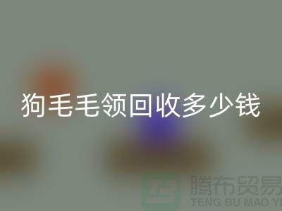 狗毛毛领必一网页版多少钱一条
