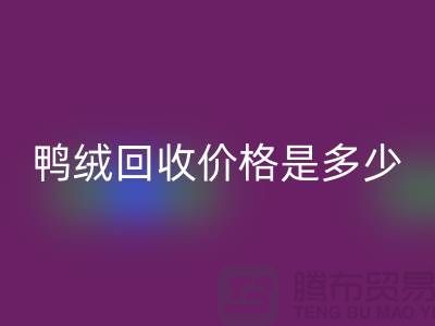 鸭绒必一网页版价格是多少？详解鸭绒市场行情-鸭绒专业必一网页版厂家