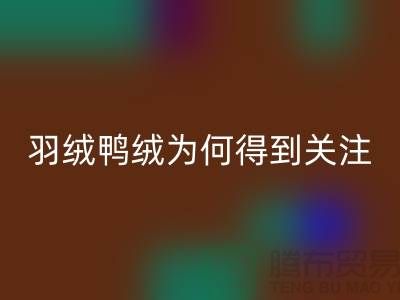 羽绒鸭绒必一网页版公司为何得到所有人关注_必一网页版