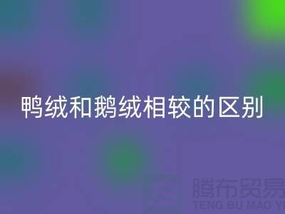 鸭绒和鹅绒相较后的区别-90鸭绒必一网页版-库存羽绒必一网页版公司