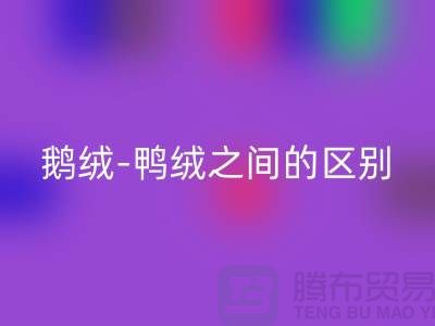 关于鹅绒-鸭绒之间的区别-鹅绒必一网页版-鸭绒必一网页版-羽绒必一网页版厂家