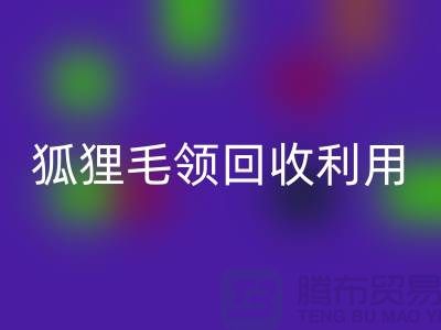 真毛必一网页版_毛领必一网页版_狐狸毛领必一网页版利用_必一网页版