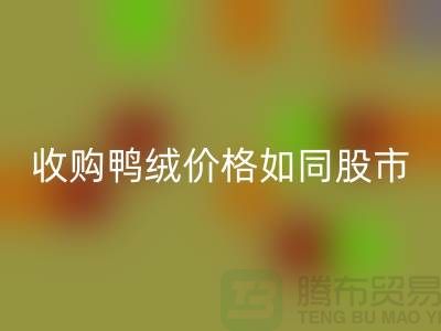收购鸭绒价格如同股市一样飘泊不定-郑州库存鸭绒必一网页版厂家