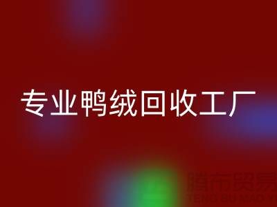 专业鸭绒必一网页版工厂-专业鸭绒必一网页版价格-库存鸭绒必一网页版厂家