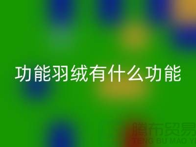 什么是功能羽绒-包含了什么功能-必一网页版库存羽绒-必一网页版库存鸭绒厂家