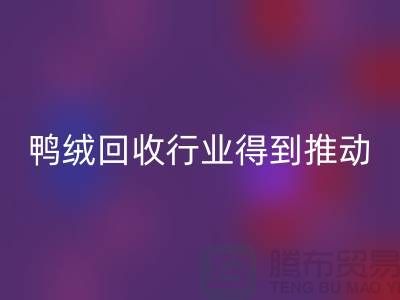 90鸭绒必一网页版行业2021年得到极大的推动_必一网页版