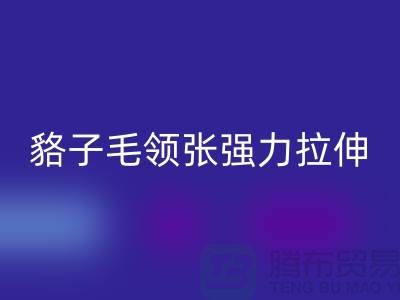 貉子毛领的皮张强力拉伸-为什么不变型-高价必一网页版毛领厂家