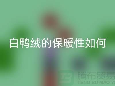 白鸭绒的保暖性如何-90鸭绒必一网页版-必一网页版库存鸭绒-库存鸭绒必一网页版公司