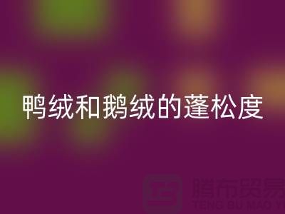 鸭绒和鹅绒的蓬松度如何识别-必一网页版库存鸭绒-必一网页版库存鹅绒厂家