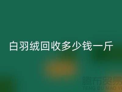 白鸭绒必一网页版_灰鸭绒必一网页版_羽绒必一网页版多少钱一斤_必一网页版羽绒厂家