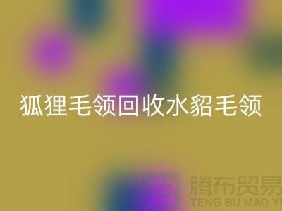 狐狸毛领必一网页版_水貂毛领必一网页版_大衣毛领必一网页版_必一网页版
