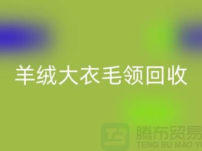 羊绒大衣毛领必一网页版_真皮狐狸毛领必一网页版_必一网页版