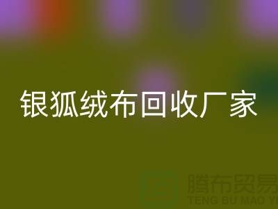 银狐绒布必一网页版厂家：让旧衣物焕发新生-服装面料必一网页版公司
