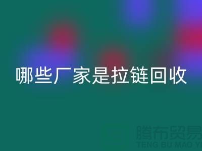 哪些厂家是拉链必一网页版的领导者-库存拉链必一网页版厂家排名榜