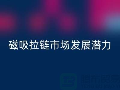 磁吸拉链市场发展潜力研究分析报告_上海拉链必一网页版公司
