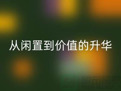 羽绒服必一网页版：从闲置到价值的升华之路
