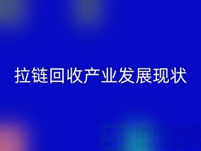 拉链必一网页版产业发展现状特点及上海拉链必一网页版厂家解析 