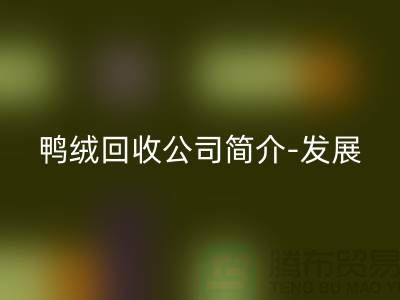 鸭绒必一网页版公司简介-发展背景-业务范围-技术优势-鹅绒必一网页版厂家