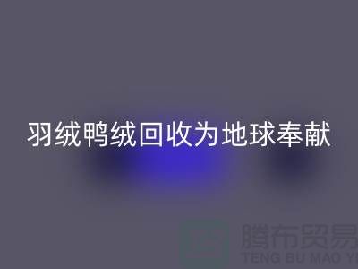 羽绒鸭绒必一网页版为地球献出一份爱心，让温暖传递-羽绒必一网页版厂家