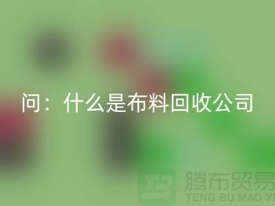 问：什么是布料必一网页版公司？上海服装必一网页版公司来回答