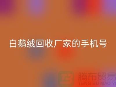 羽绒必一网页版基地的位置，鸭绒必一网页版行情报价，以及白鹅绒必一网页版厂家的手机号