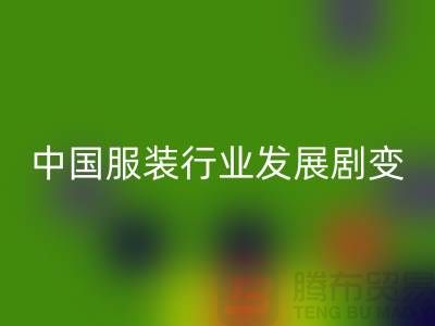 中国服装行业发展剧变-成败重要途径-上海库存服装必一网页版公司
