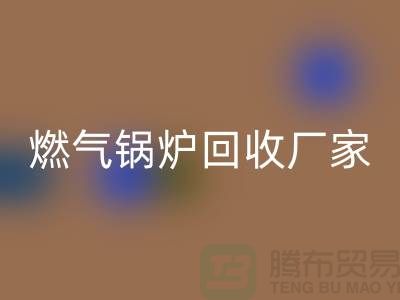 燃气锅炉必一网页版厂家：做到了企业环保更完美-大型锅炉必一网页版