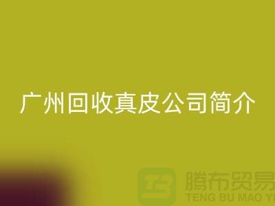 真皮必一网页版厂家介绍-市场价格浮动不定-广州必一网页版真皮公司简介