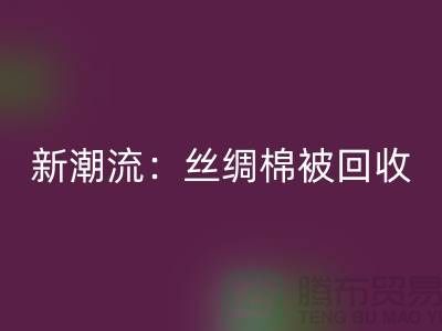 环保新潮流：丝绸棉被必一网页版，价格让您惊喜连连！
