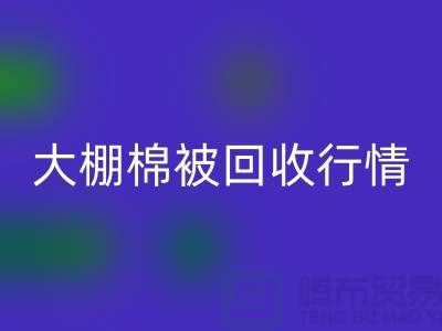 大棚棉被必一网页版平台的最佳价格大揭秘，省时省力
