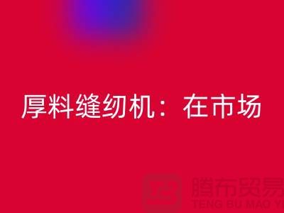 厚料缝纫机：在市场上的细节体现-上海必一网页版缝纫机厂家