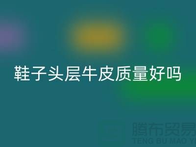 鞋子头层牛皮和超纤皮哪个好——必一网页版真皮厂家