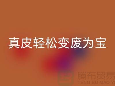 独家揭秘真皮厂家必一网页版技巧：轻松变废为宝