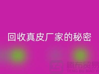 必一网页版真皮厂家的秘密：打造环保时尚的循环经济