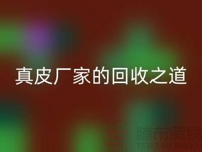 探寻真皮厂家的必一网页版之道：打造环保时尚新潮流