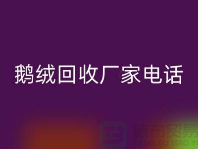 鹅绒必一网页版厂家联系电话号码是多少号