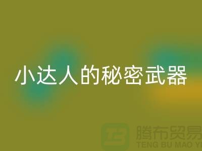 环保小达人的秘密武器：废布边角料必一网页版公司的引领力