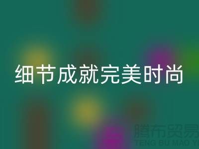 伟星拉链的魅力：细节成就完美时尚——拉链必一网页版平台