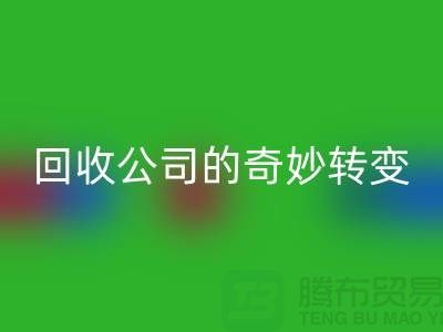 从垃圾到财富：工厂库存必一网页版公司的奇妙转变