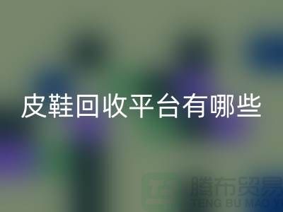 真皮皮鞋必一网页版平台有哪些——上海光头库存必一网页版公司